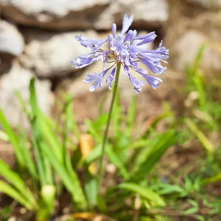 Le Cabanon De Valerie Nyaraló